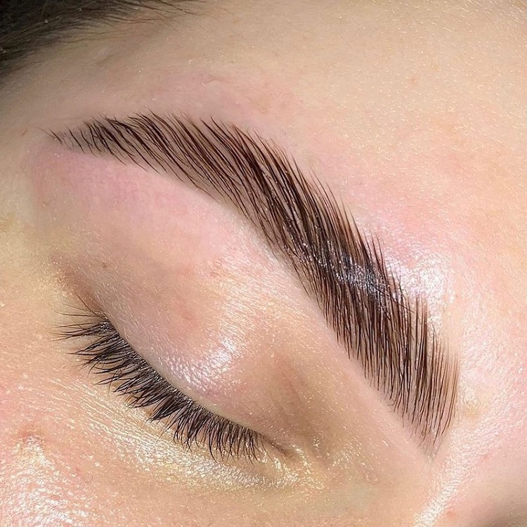 Brow Lamination Certification Minneapolis Minnesota Brow Lash