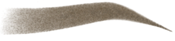 MICROSHADING BROWS